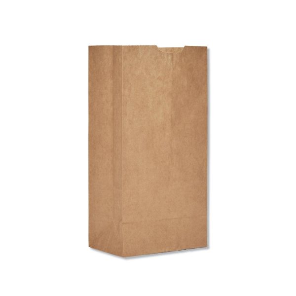 10lb | Kraft Paper Lunch Bag 6.25x4x13.75" - 500 Pcs