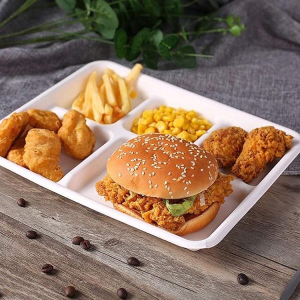 5 Compartment Sugarcane Meal Tray - Image 3