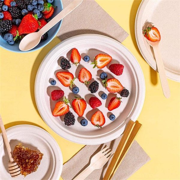 9” Round Biodegradable Sugarcane Plate - Image 3