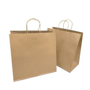 Kraft Bag with Twisted Handle 10x6x13" (MEDIUM) - 250 Pcs