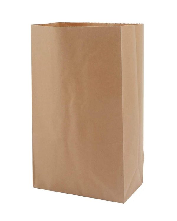 #535 | 35lb Eco-Friendly Kraft Paper Bag 9.75x6x16″ – 500 Pcs