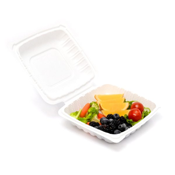 EP-61 | Square Clamshell PP Hinged Container 6x6x3" - 250 Pcs - Image 2