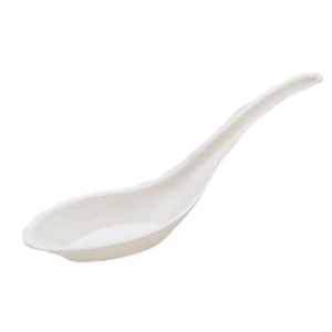 Sugarcane Chinese Spoon 1000/cs
