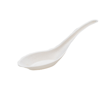Sugarcane Chinese Spoon 1000/cs