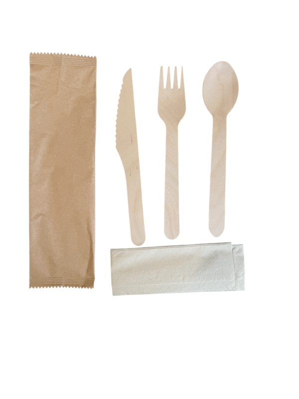 4 in 1 Birchwood Cutlery Kit (Spoon+Fork+Knife+Napkin) - 250 set