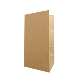 big_14b20250124 #12 - 7.25x4.25x13.75 Without handle Kraft bags - 500pcs